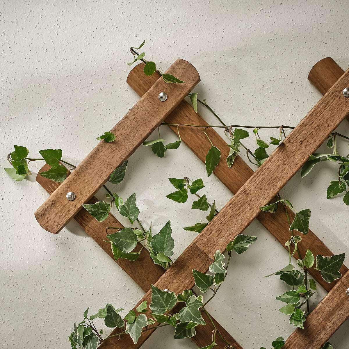 Trellis
