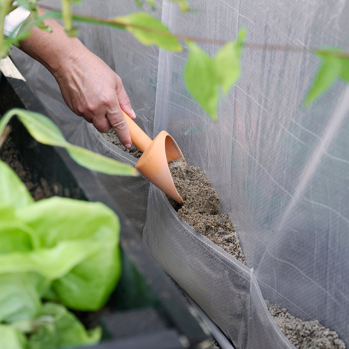 Greenhouse