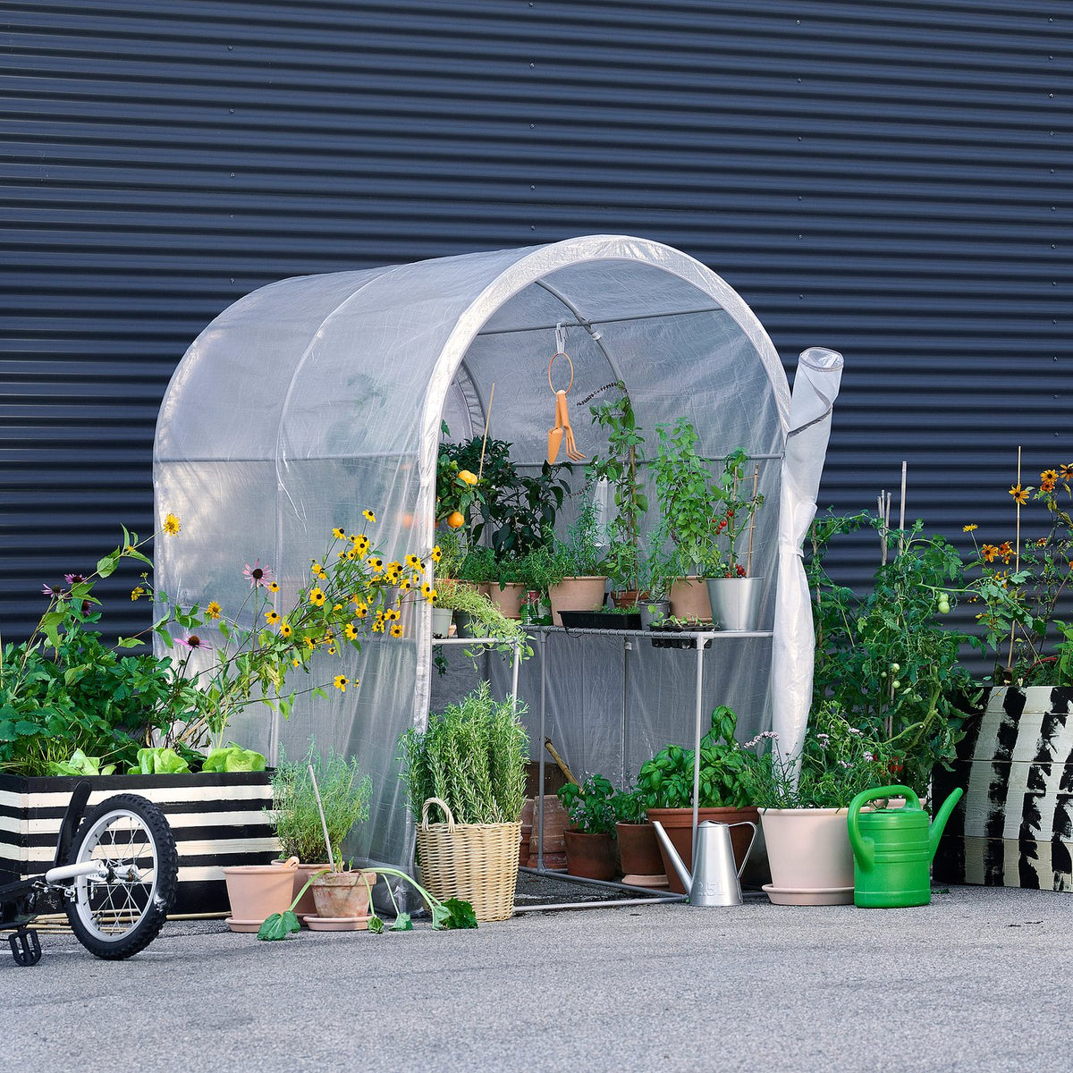 Greenhouse