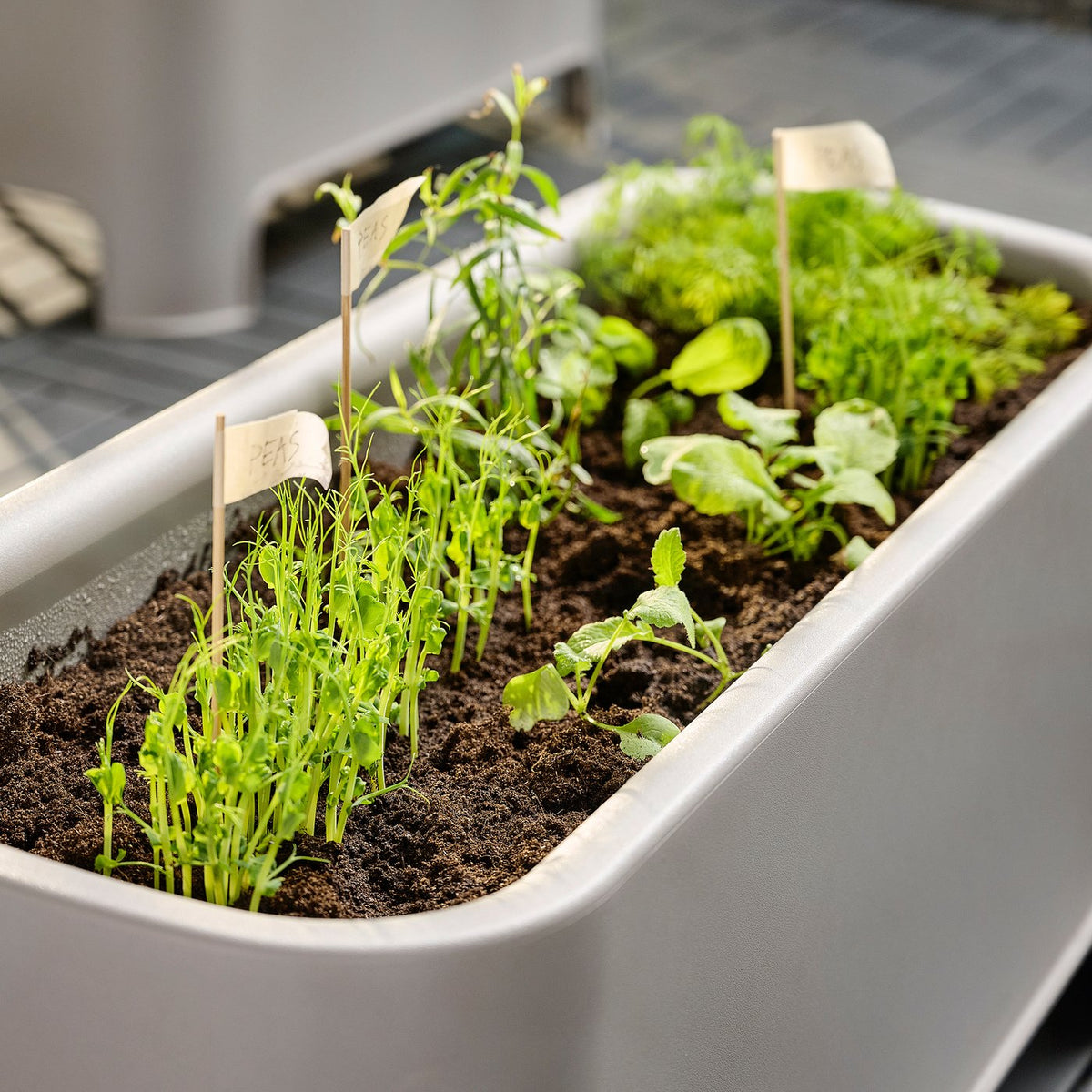 Planter