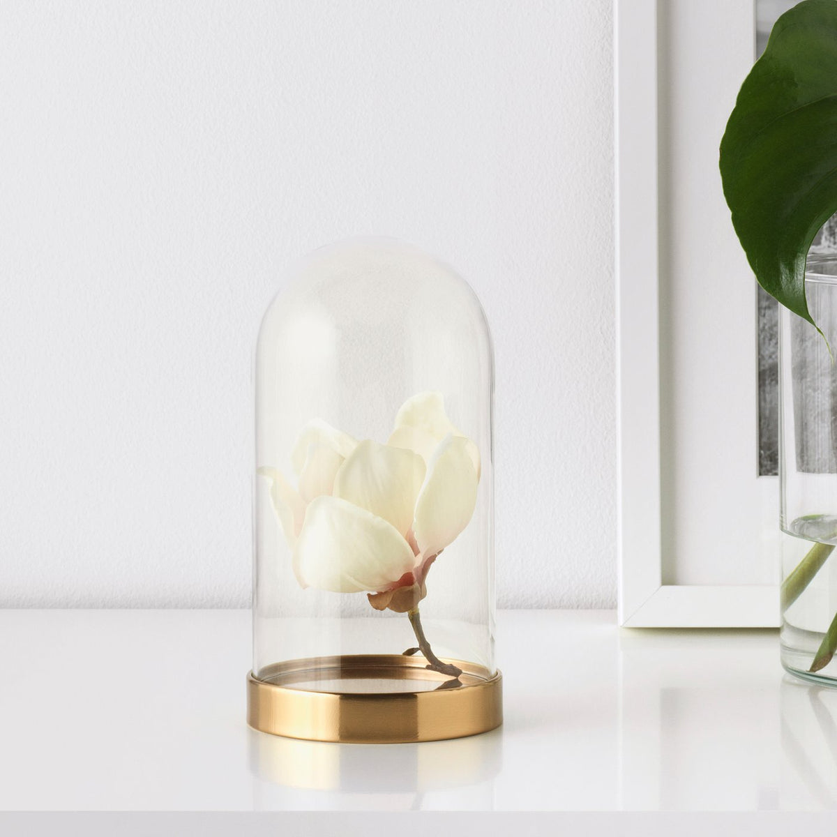 Glass dome with base