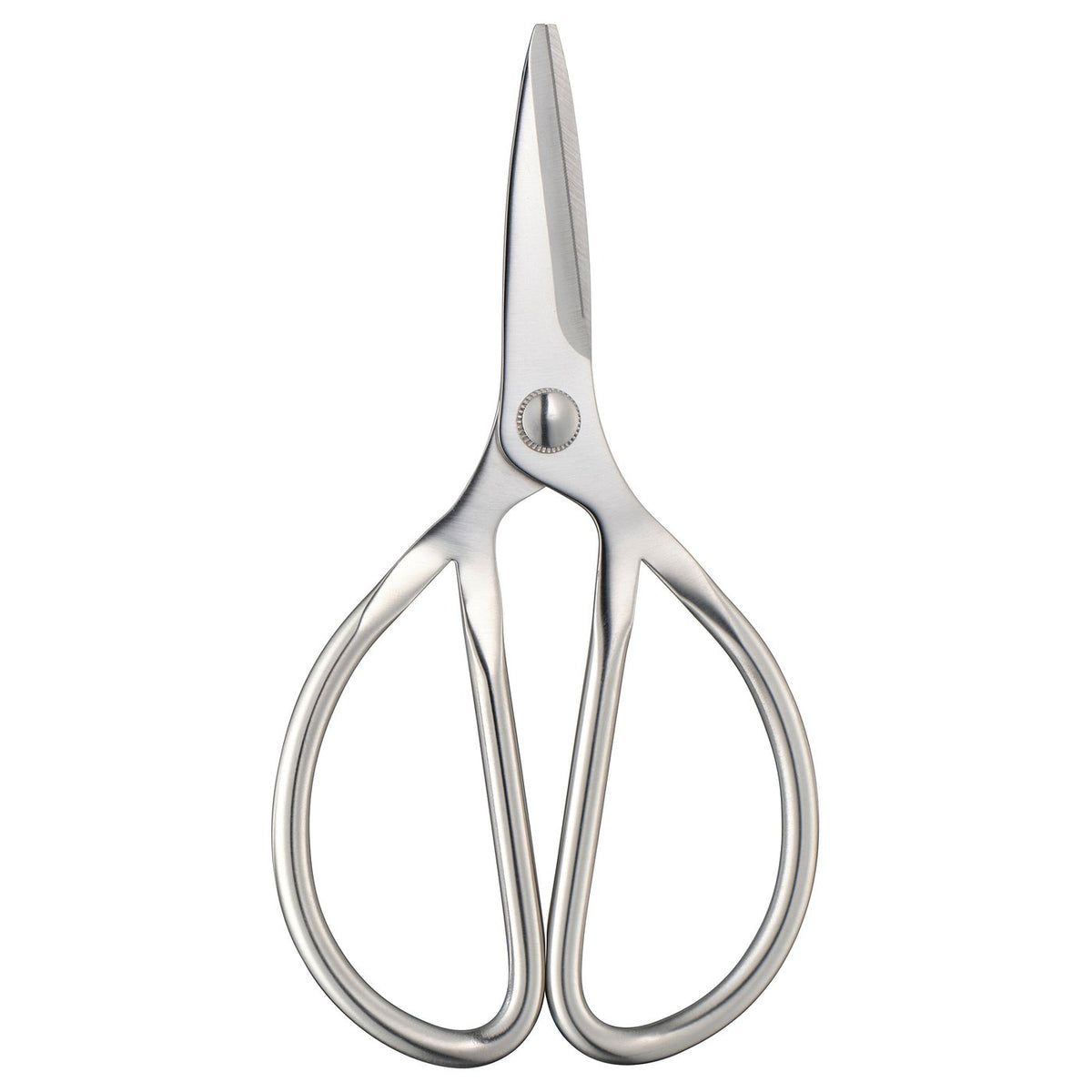 Scissors