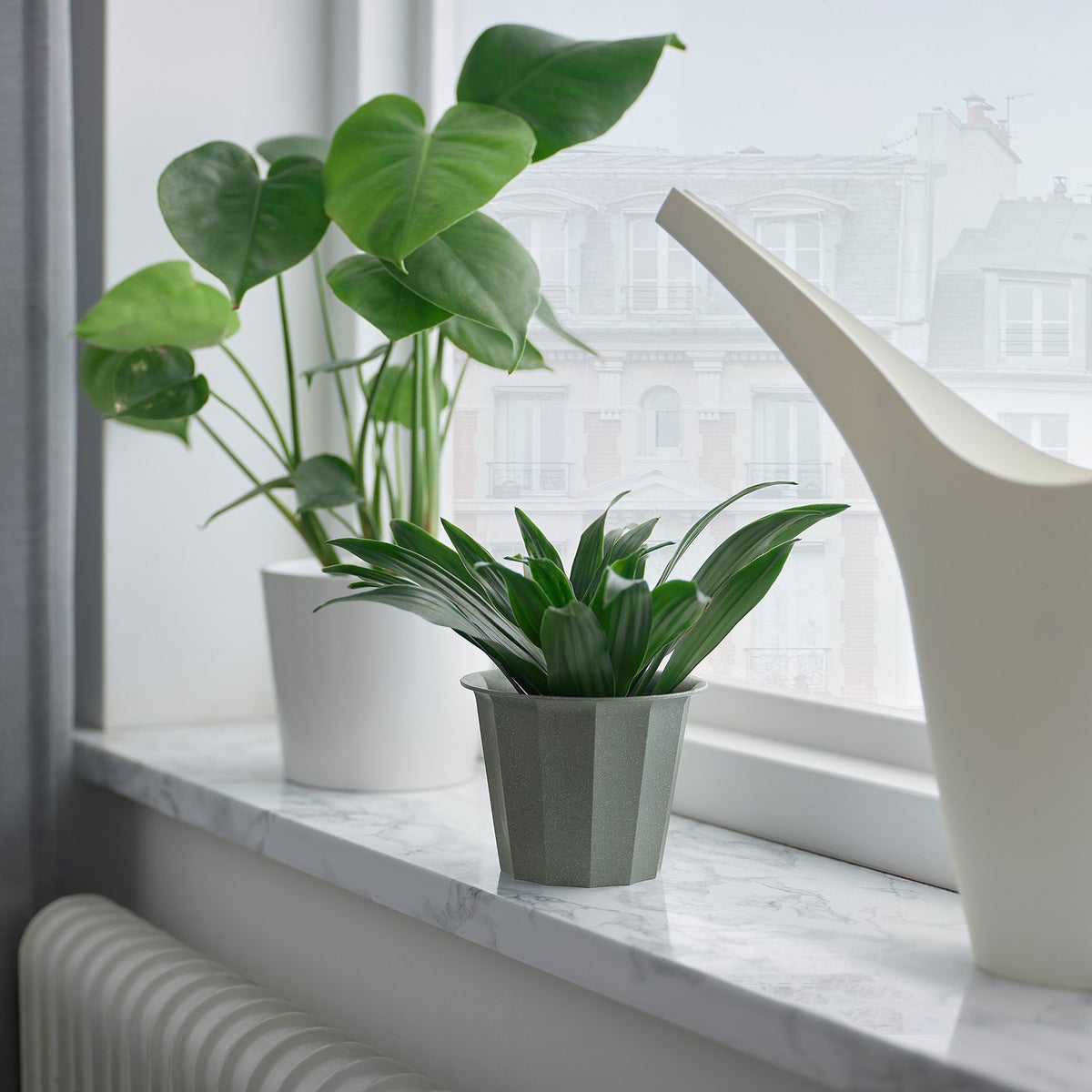 Plant pot