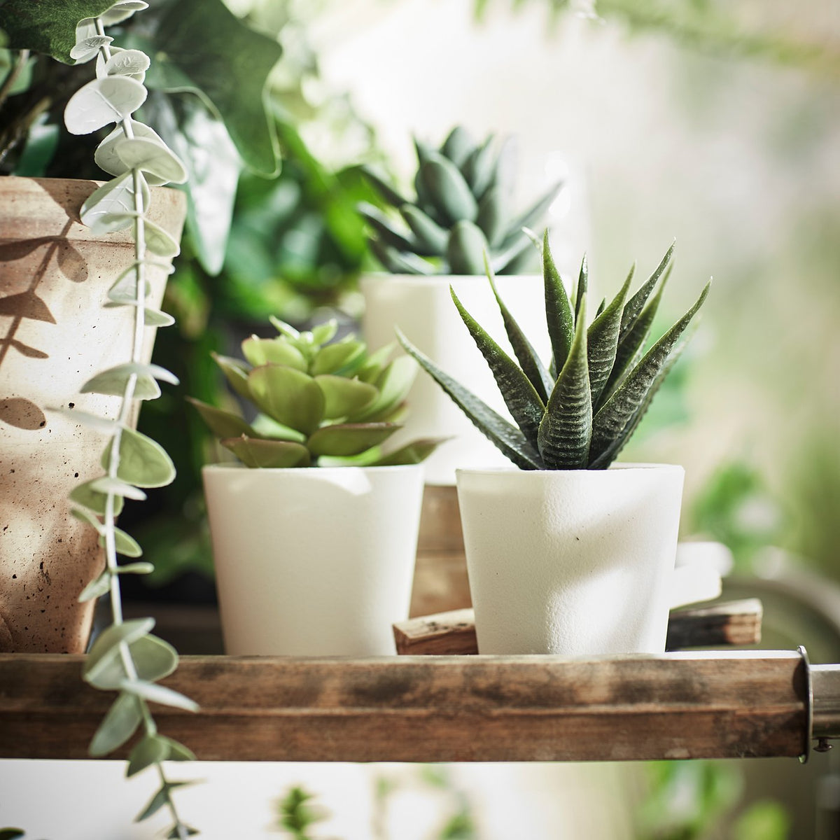 Artificial potted plant with pot