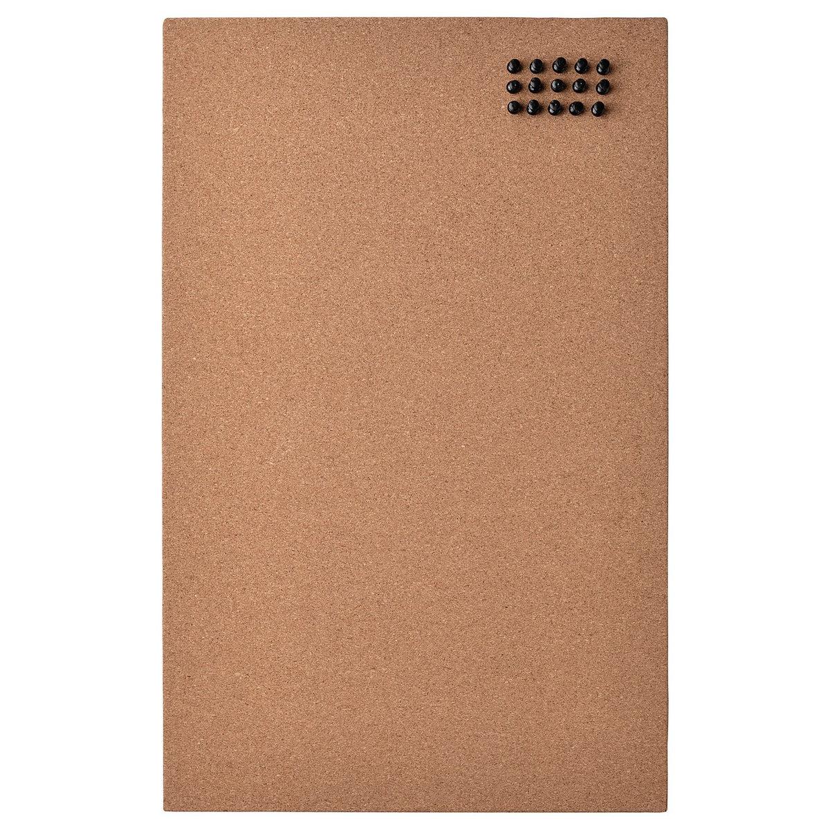 Memo board with pins