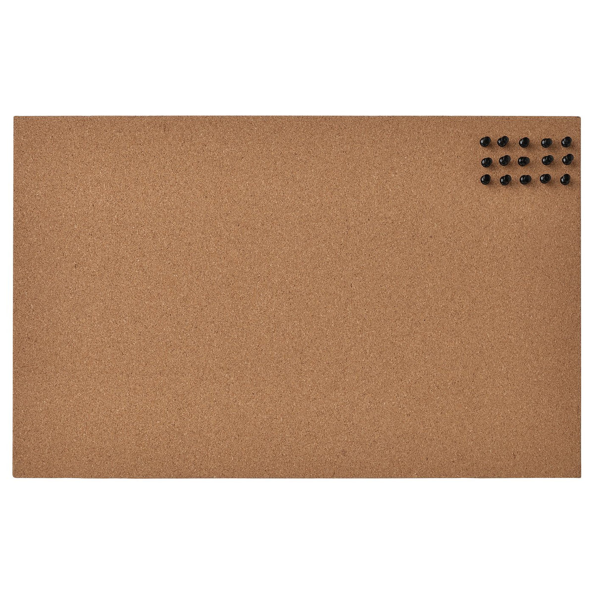 Memo board with pins