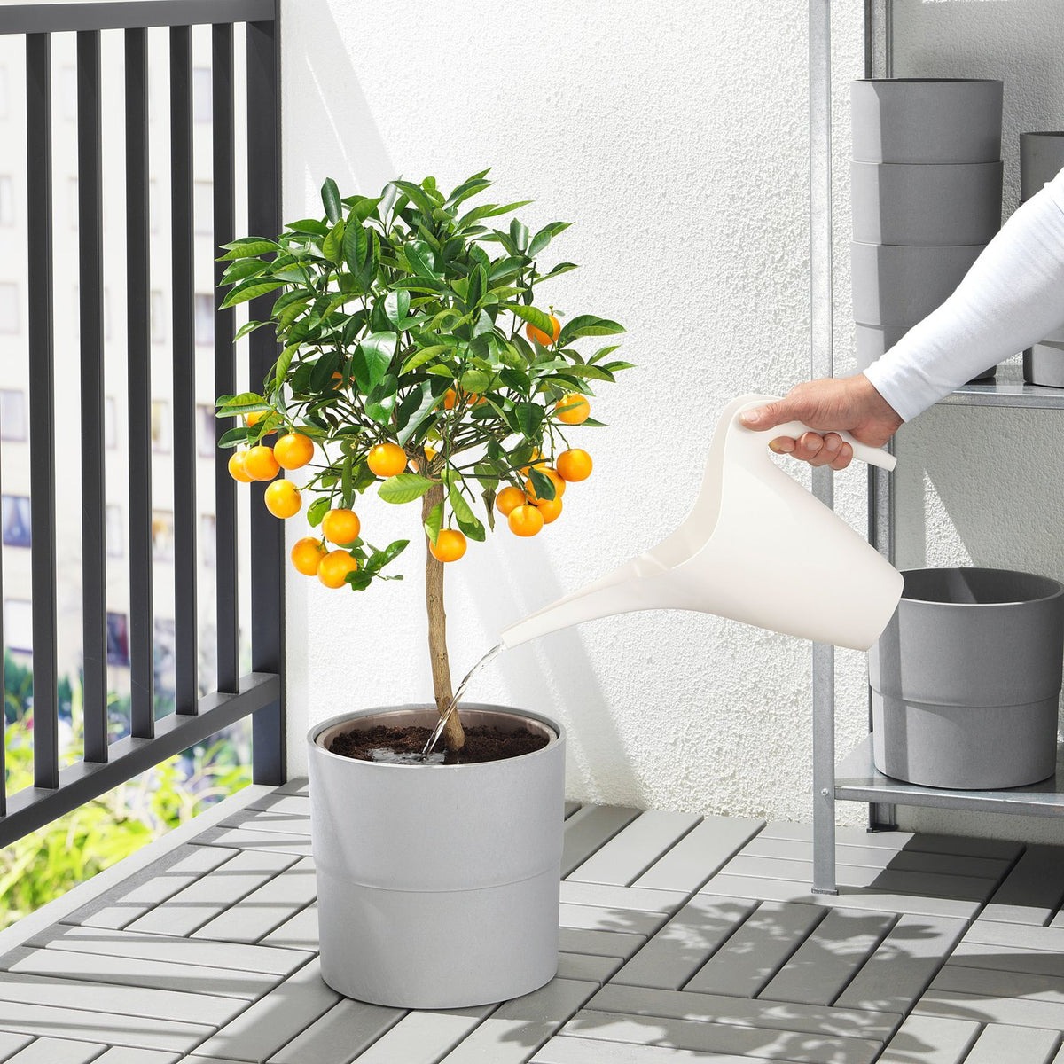 Watering can
