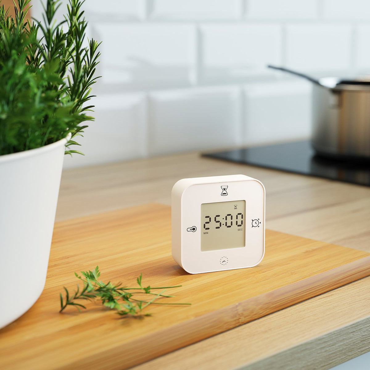 Clock/thermometer/alarm/timer