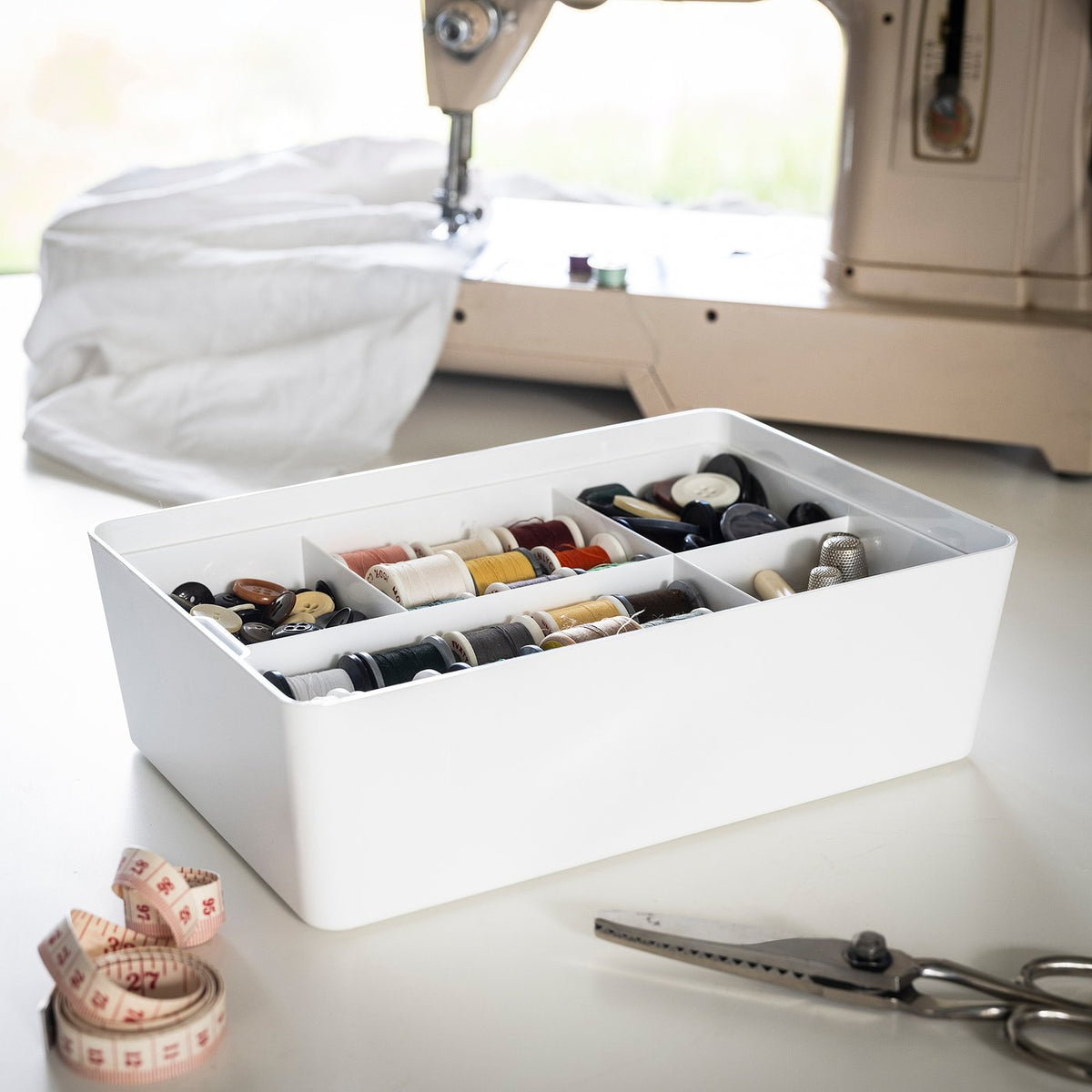 Insert with 5 compartments