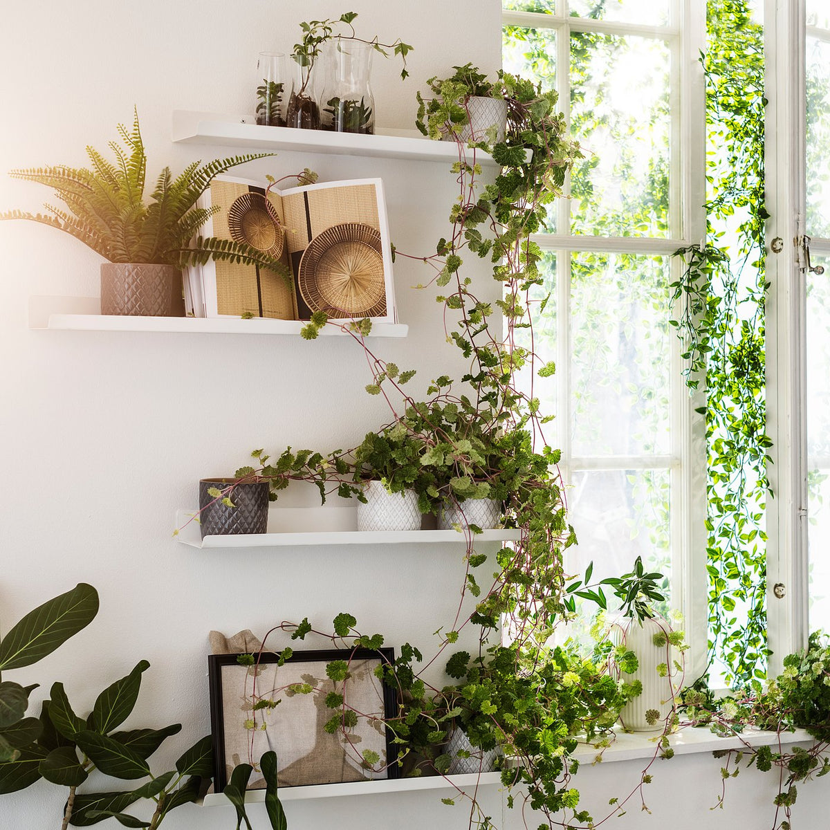 Display shelf