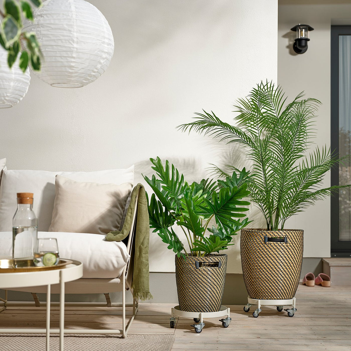 Plant mover