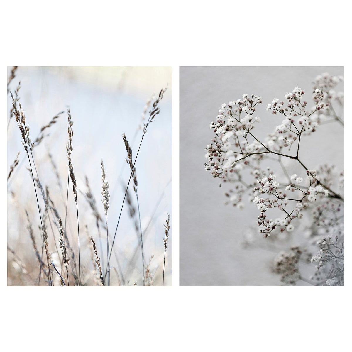 Picture, set of 2
