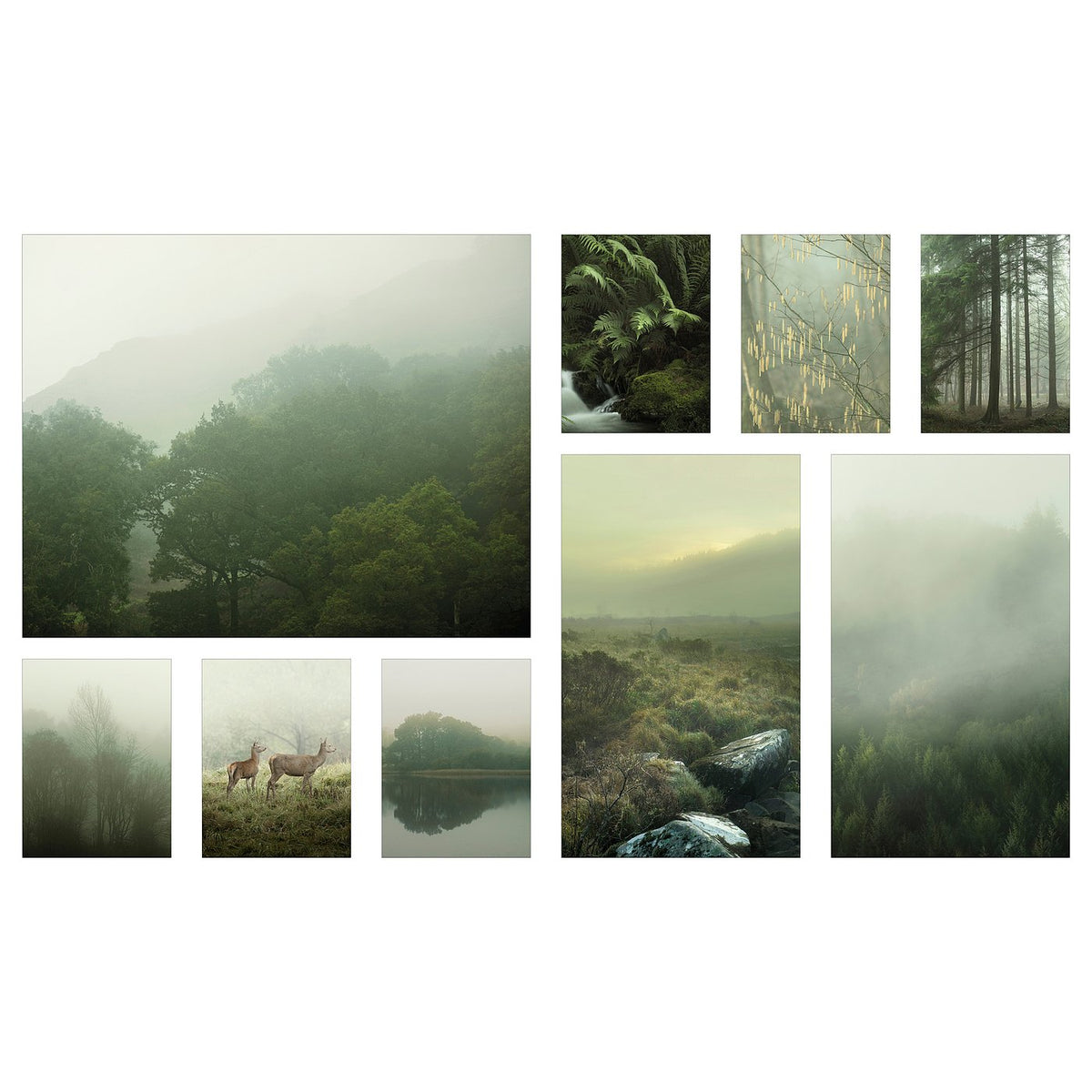 Picture, set of 9
