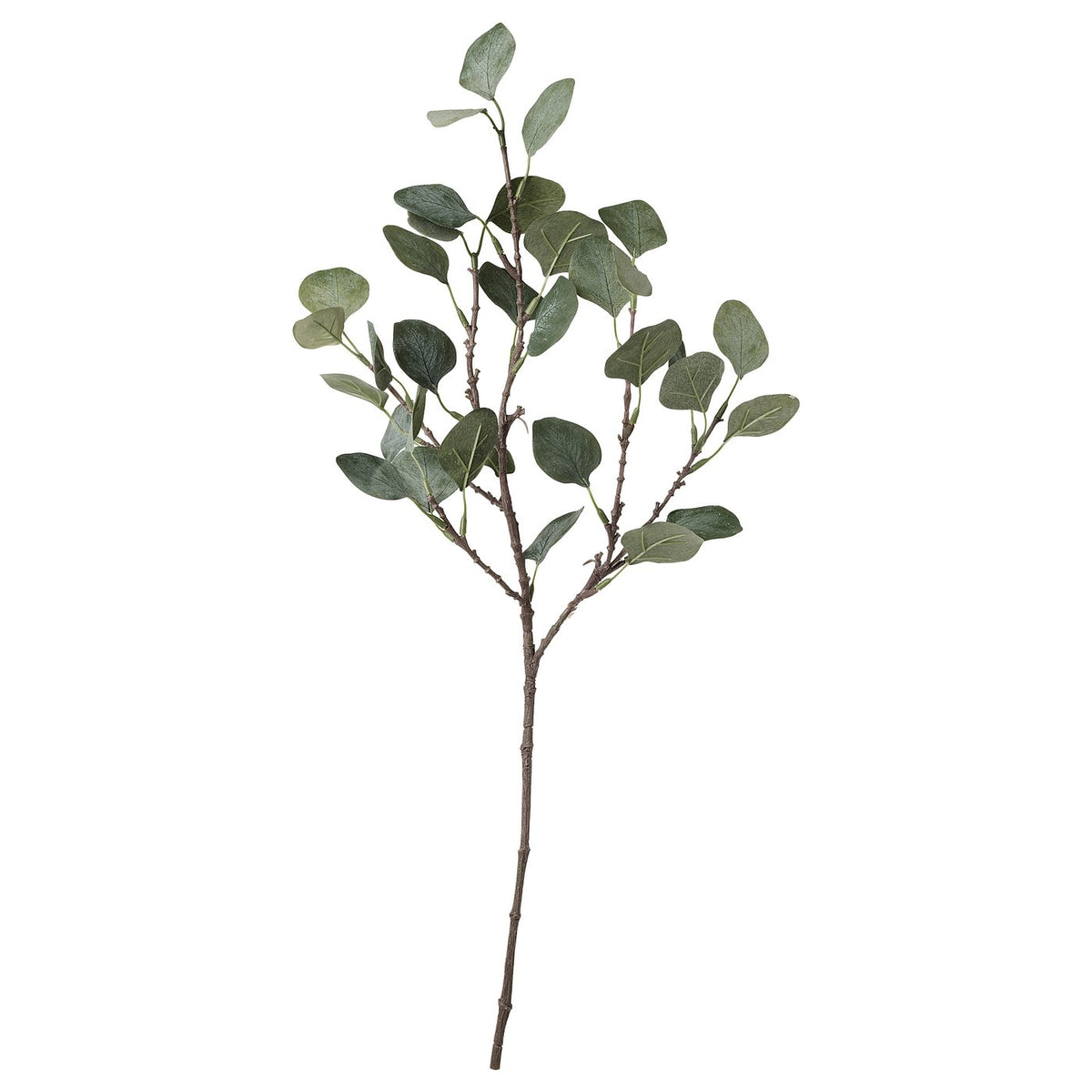 Artificial leaf