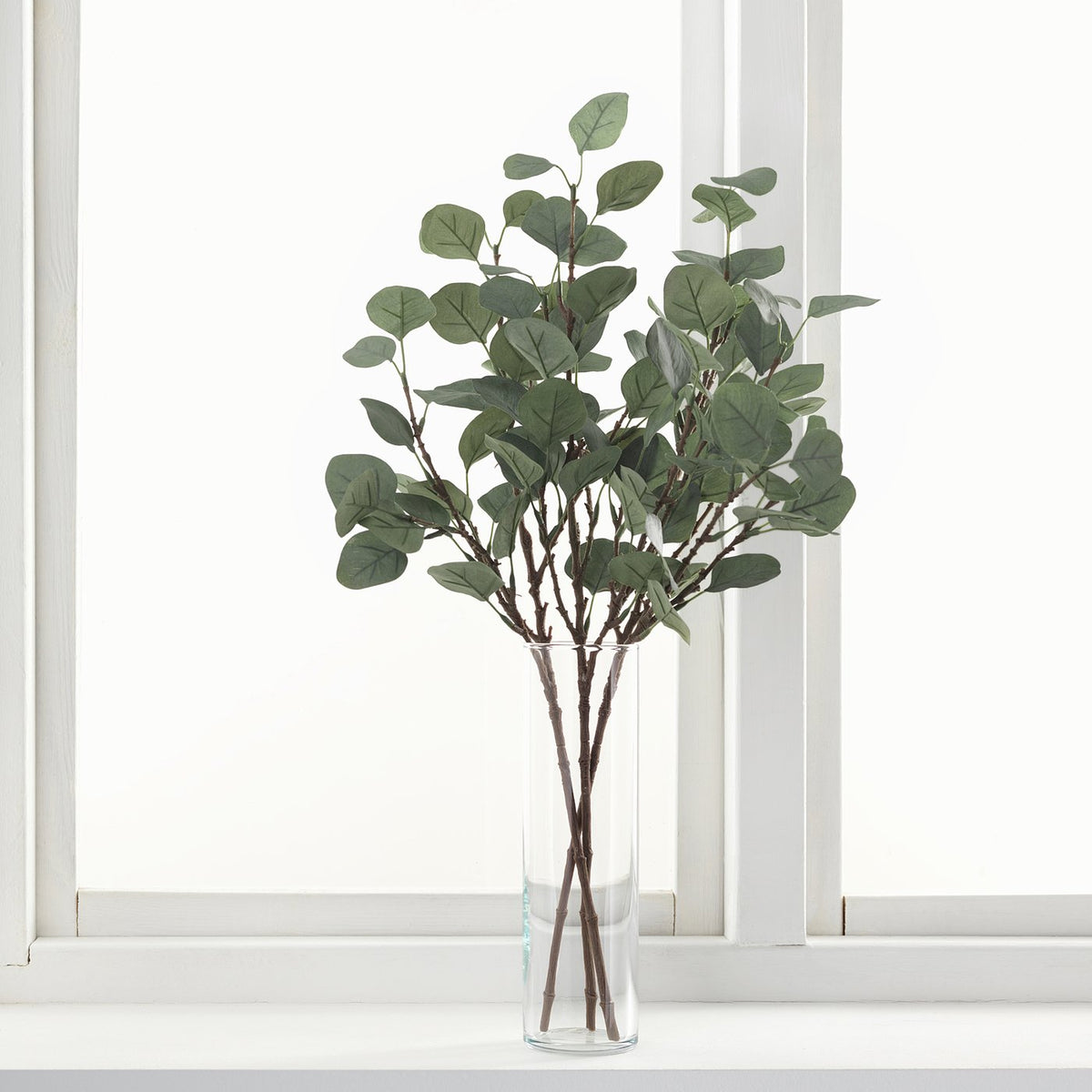 Artificial leaf