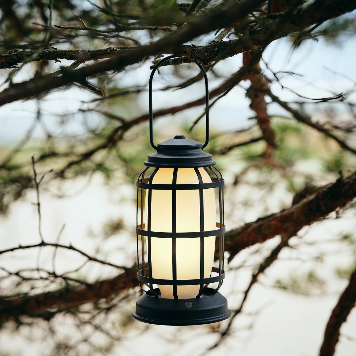 LED lantern