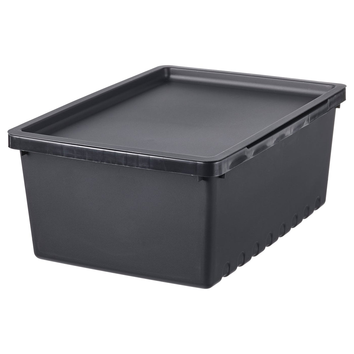 Storage box with lid