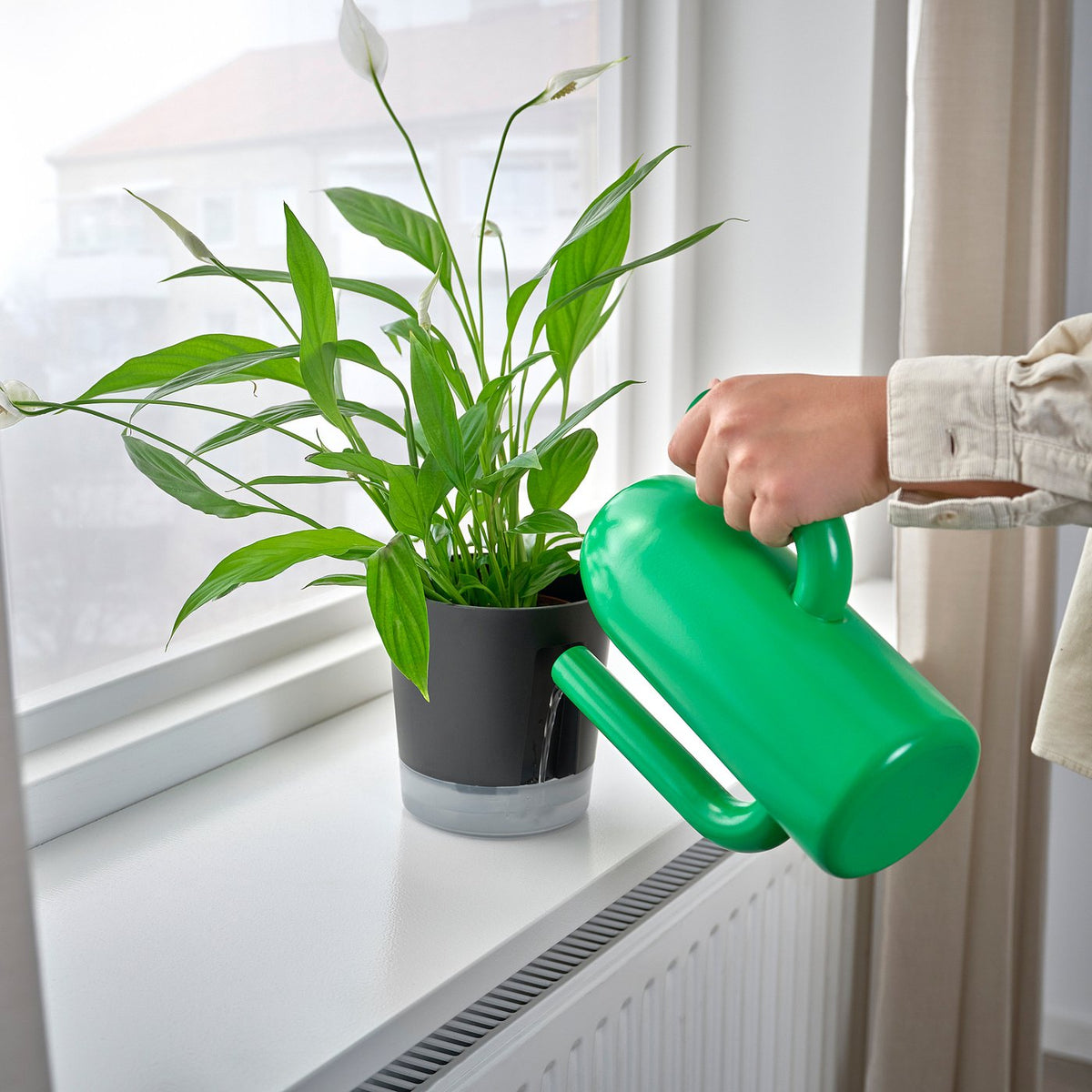 Self-watering plant pot