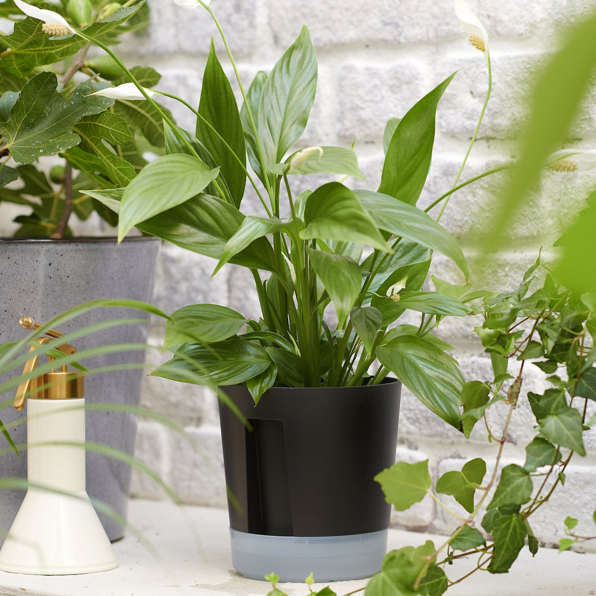 Self-watering plant pot